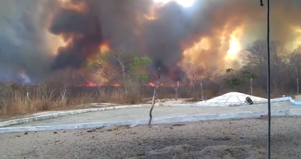 Incêndio de grandes proporções ameaça sítios arqueológicos em Pimenteiras